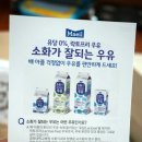 매일우유정읍