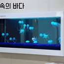 광명메디피아의원 이미지