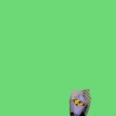 연제구-050 이미지