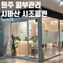 매쓰케어 | 원주 피부관리 제니앤스킨케어 시바산 시조피린 후기