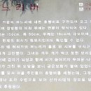 허씨며느리비 이미지