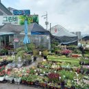 그린비화원