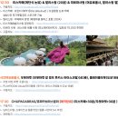 카페뜨랑 | 발리여행(2) - 뜨랑갈랑/티스카페 발리스윙/츄파카브라스발리/푸트리스파3/더아카디안 숙소