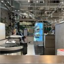 존맛탱마라탕 이미지