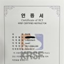 베이스스케이트샵
