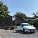 저지차경 이미지