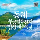 ‘2026 강원 방문의 해’ 7월 여행지 공개…동해·정선 여름 관광지 추천 이미지