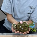 대구광역시 중구정신건강복지센터 | [출강 프로그램] 대구경북 정신건강복지센터 &amp; 기업 대상 ‘방학 가족프로그램 ,이끼공 코케다마 힐링...