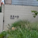 호호식당 이미지