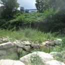 일도목장 이미지