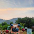 청량산나무네숲캠핑장 이미지