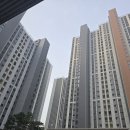 흥안대로58번길 네이버블로그