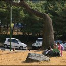 동춘당공원 이미지