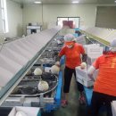 세지산업 이미지