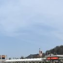 1316 | 해병대 1316기 입소식 후기