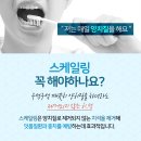 케이플란트치과의원 이미지