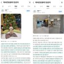 반송동203 | 부산 반송동 동물병원, 고양이와 강아지 과식이 계속된다면 당뇨 체크가 필요합니다