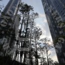 트리마제주변공원 이미지