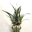 전임농장 이미지