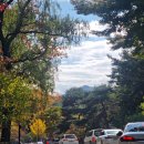 선유마을민박 이미지