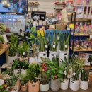 삼성 게임랜드 이미지