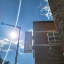 닥그네할망 이미지