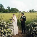 밀밭 결혼식 이미지