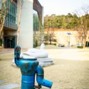 오전천 | 안양천 생태이야기관 : 생명이 살아 숨 쉬는 안양천
