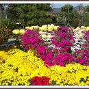 평화공원 내 이미지