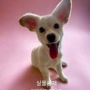 마월1리마을회관 이미지