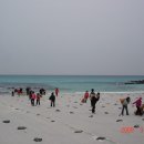 김녕초등학교 이미지