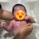 정관손맛국수 | 봄소리산후도우미 기장점 내돈내산 후기