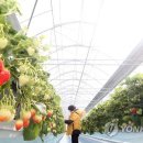 이규태농장 이미지