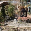 영천축산농협 한우프라자 이미지