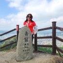 유달산 이미지