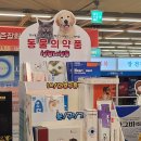 팜플러스약국 이미지
