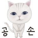 마이카삽 네이버블로그