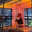 [초급] 댄스스포츠 | 광주 상무점 오하운 폴댄스 , 운동 맛집