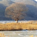 산천어할인마트