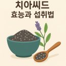 일일슈퍼 이미지