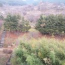 더케이지리산가족호텔 앞 이미지