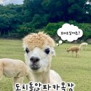 기관목장 | [제주] 제주알파카목장 • 목장체험추천 • 도치돌알파카목장