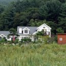 꽃별하얀 이미지