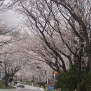 진목참숯가마 이미지