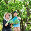 하늘정원 이미지