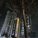 구제영미네