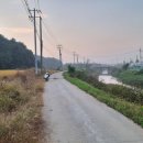 동화천1 이미지