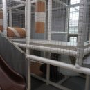 한마음 정육식당 태안신두리점 이미지