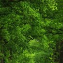 퓨어 하우스 이미지