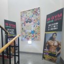 WGYM | 체력 관리를 위해 등록한 두정동 헬스장 솔직한 이용 후기